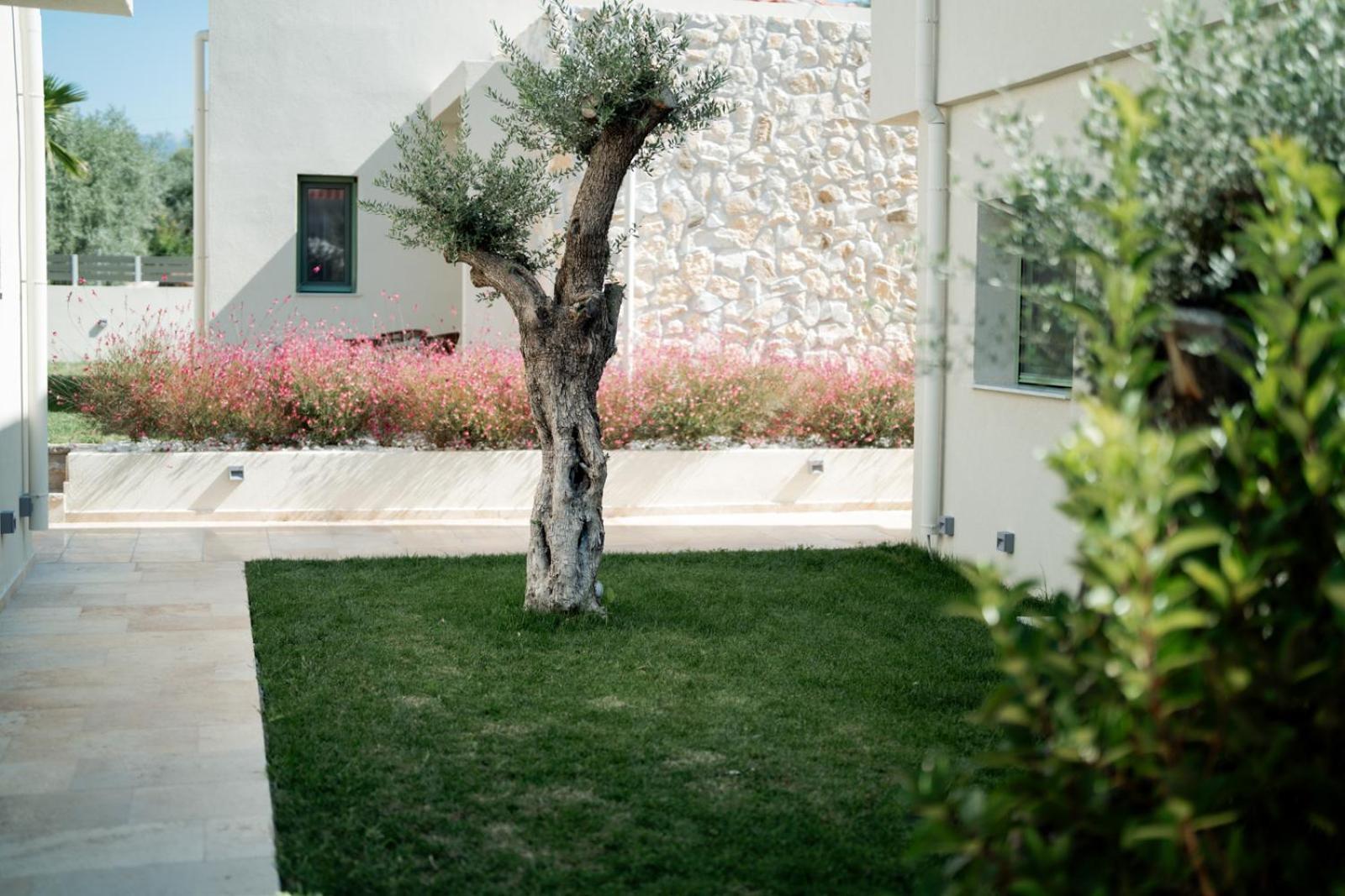 Magnolia Villas Potos Thassos Екстер'єр фото