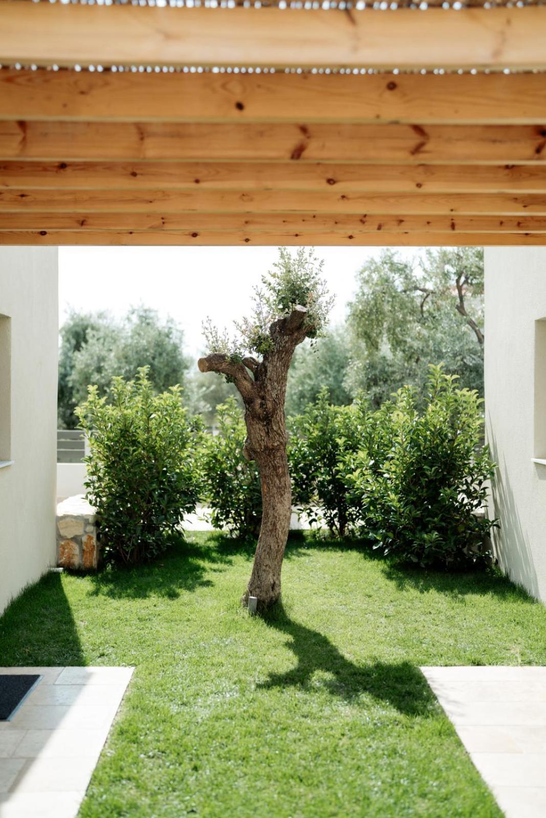 Magnolia Villas Potos Thassos Екстер'єр фото